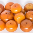 FOURTEEN LARGE EGG YOLK AMBER BEADS