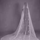 TWO TRAINED TAPE LACE VEILS, EARLY 20TH C